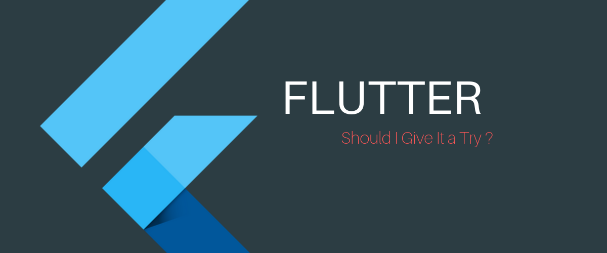 Why I loved Flutter despite being a fan of Native App Development — N47